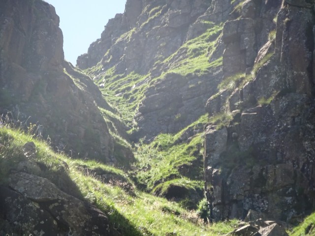 DSC02301 Buttress Pass.JPG